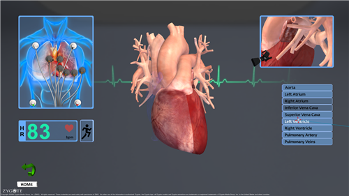 52.png
