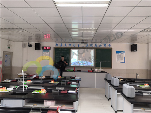 廣東省深圳市龍崗天成學(xué)校_副本.jpg