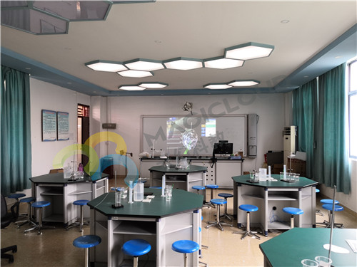 廣東省深圳市龍華區教科院附屬小學(xué)_副本.jpg